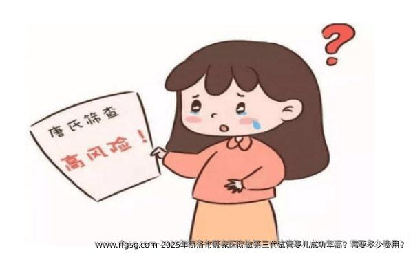 2025年商洛市哪家医院做第三代试管婴儿成功率高？需要多少费用？