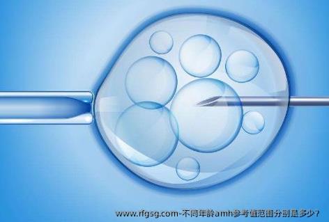 不同年龄amh参考值范围分别是多少？