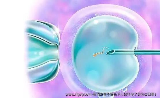 卵泡发育不好长不大却怀孕了是怎么回事？