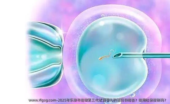 2025年乐陵市能做第三代试管婴儿的医院有哪些？能用社保报销吗？