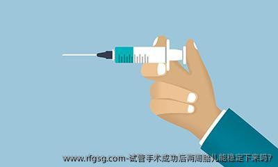 试管手术成功后两周胎儿能稳定下来吗?