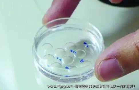 囊胚移植35天后女性可以吃一点木耳吗？