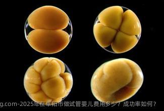 2025年在阜阳市做试管婴儿费用多少？成功率如何？