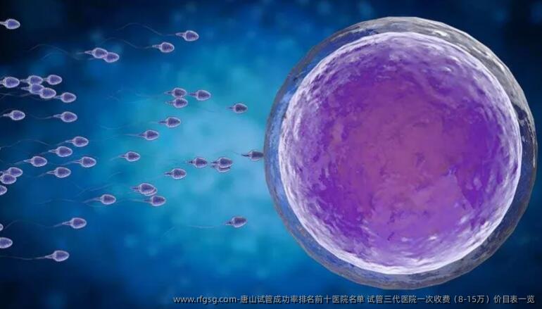 唐山试管成功率排名前十医院名单 试管三代医院一次收费（8-15万）价目表一览