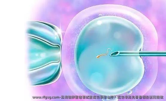 云南输卵管堵塞试管成功率怎么样？成功率高先看看哪些医院能做
