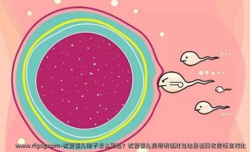 试管婴儿精子怎么筛选？试管婴儿费用明细附当地各医院收费标准对比