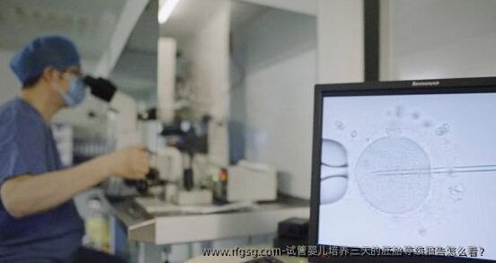 试管婴儿培养三天的胚胎等级报告怎么看？