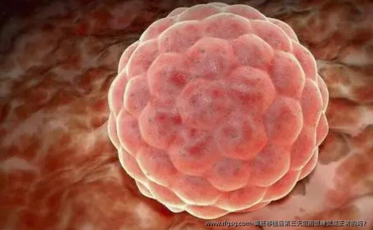 囊胚移植后第三天犯困想睡觉是正常的吗？