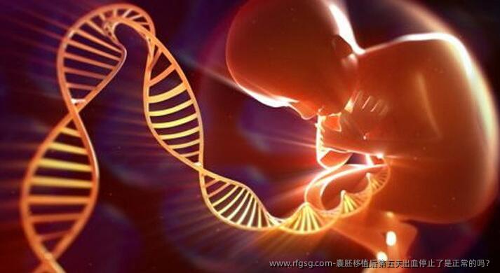 囊胚移植后第五天出血停止了是正常的吗？