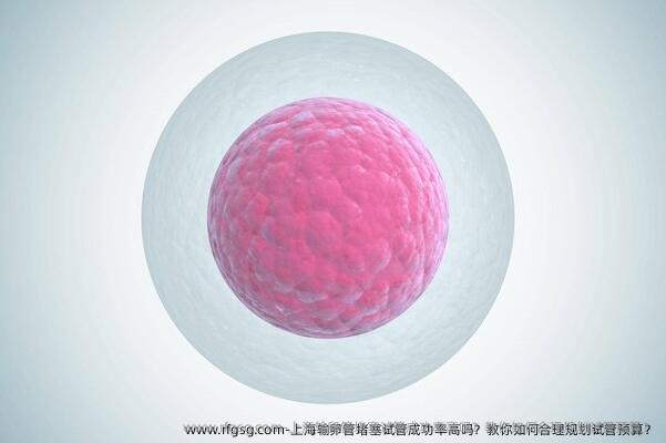 上海输卵管堵塞试管成功率高吗？教你如何合理规划试管预算？