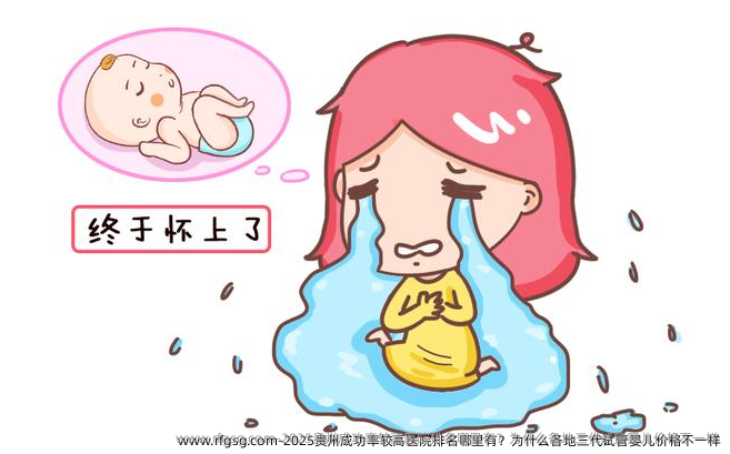 2025贵州成功率较高医院排名哪里有？为什么各地三代试管婴儿价格不一样