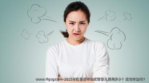 2025年在登封市做试管婴儿费用多少？成功率如何？