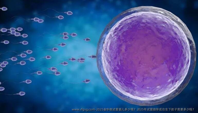 2025金华做试管婴儿多少钱？2025年试管助孕成功生下孩子需要多少钱？