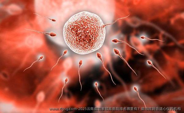 2025云南成功率较高医院排名哪里有？助您找到合适心仪的机构