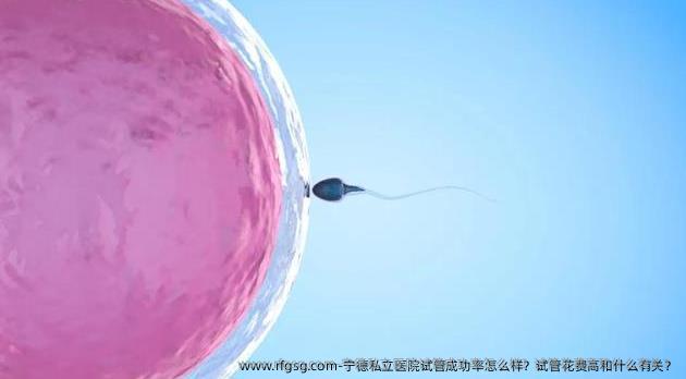 宁德私立医院试管成功率怎么样？试管花费高和什么有关？