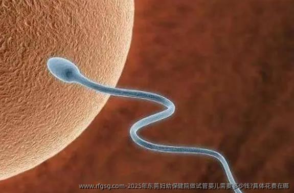 2025年东莞妇幼保健院做试管婴儿需要多少钱?具体花费在哪