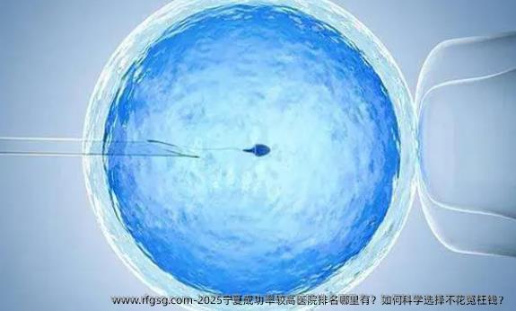 2025宁夏成功率较高医院排名哪里有？如何科学选择不花冤枉钱？