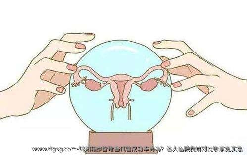 绵阳输卵管堵塞试管成功率高吗？各大医院费用对比哪家更实惠