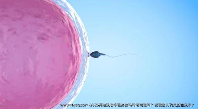 2025芜湖成功率较高医院排名哪里有？试管婴儿的风险和成本？
