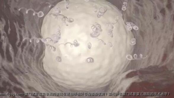 厦门试管成功率高的医院在胚胎移植环节有哪些优势？如何评估厦门试管婴儿医院的技术水平？