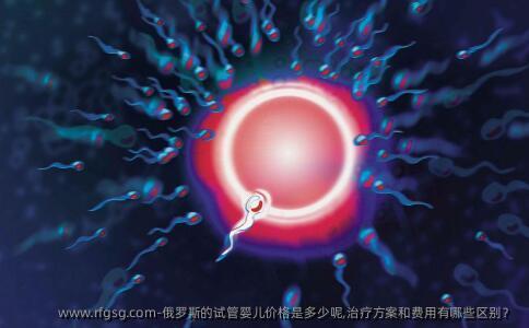 俄罗斯的试管婴儿价格是多少呢,治疗方案和费用有哪些区别？