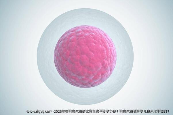 2025年在阿拉尔市做试管生孩子要多少钱？阿拉尔市试管婴儿技术水平如何？
