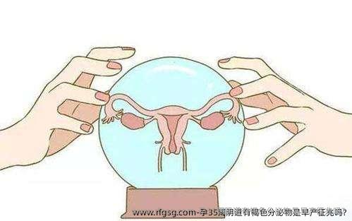 孕35周阴道有褐色分泌物是早产征兆吗?