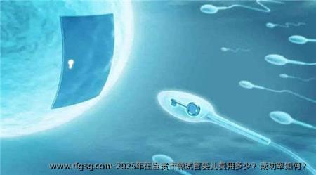 2025年在自贡市做试管婴儿费用多少？成功率如何？