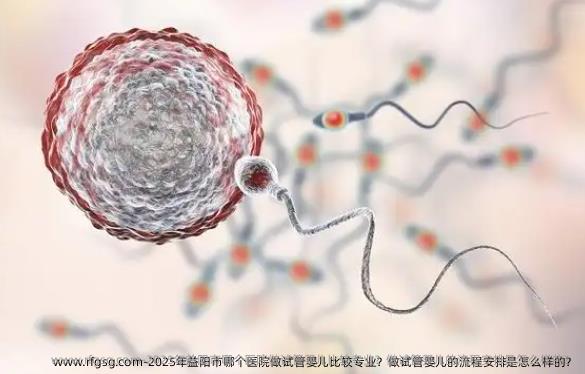 2025年益阳市哪个医院做试管婴儿比较专业？做试管婴儿的流程安排是怎么样的？