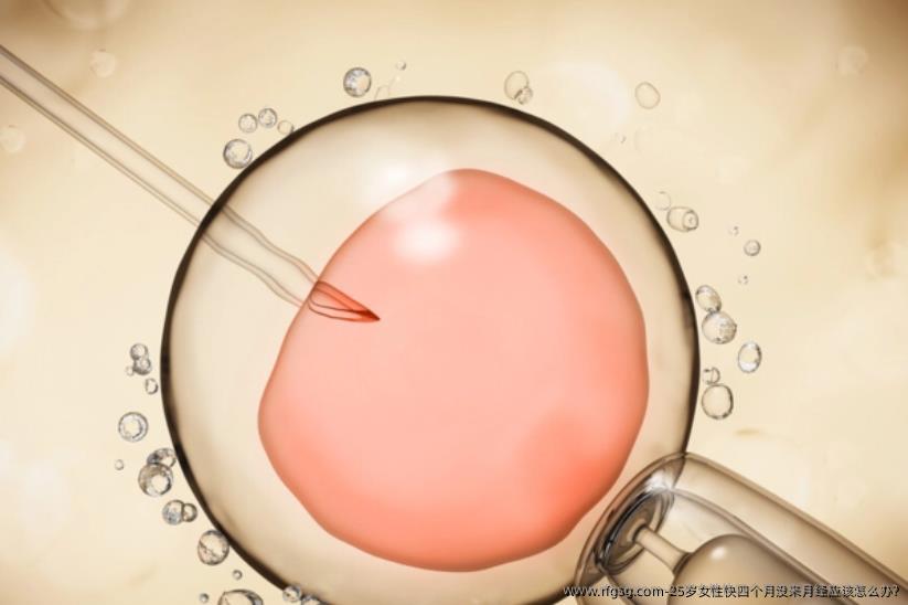 25岁女性快四个月没来月经应该怎么办?