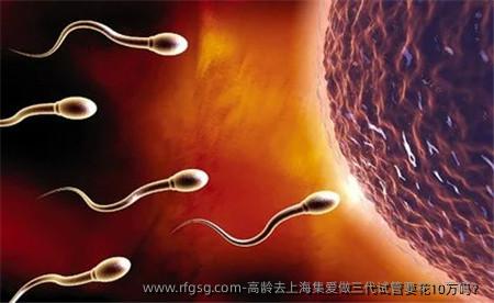 高龄去上海集爱做三代试管要花10万吗？
