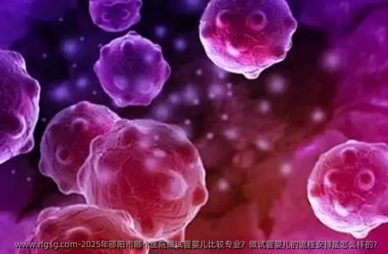 2025年邵阳市哪个医院做试管婴儿比较专业？做试管婴儿的流程安排是怎么样的？