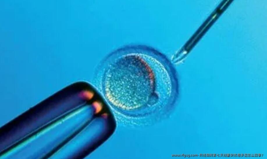 月经期间第七天经量突然增多是怎么回事？