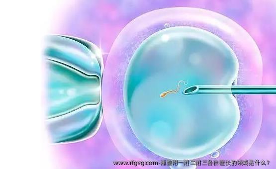 湘雅附一附二附三各自擅长的领域是什么？