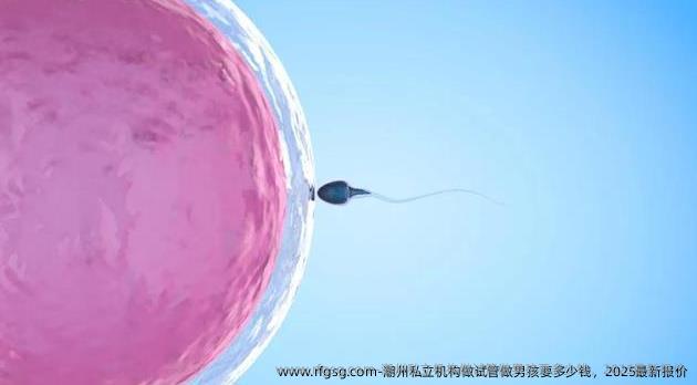 潮州私立机构做试管做男孩要多少钱，2025最新报价