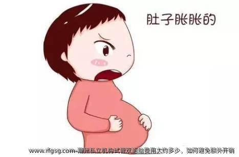 潮州私立机构试管双胎费用大约多少，如何避免额外开销