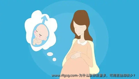 为什么取卵数量多，可用胚胎却很少？