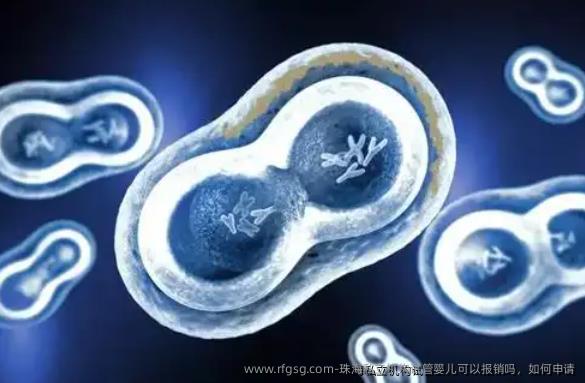 珠海私立机构试管婴儿可以报销吗，如何申请