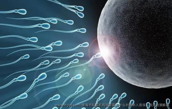 珠海市私立机构试管婴儿什么时候纳入医保，相关政策解读