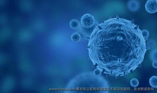 肇庆私立机构试管婴儿不成功包退吗，是全额退款吗