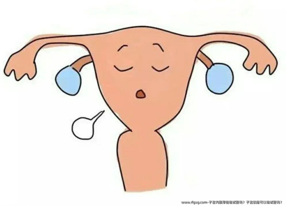 子宫内膜厚能做试管吗？子宫肌瘤可以做试管吗？