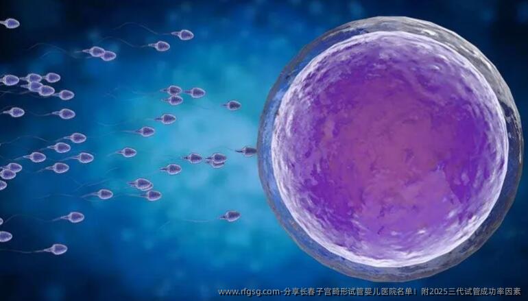 分享长春子宫畸形试管婴儿医院名单！附2025三代试管成功率因素