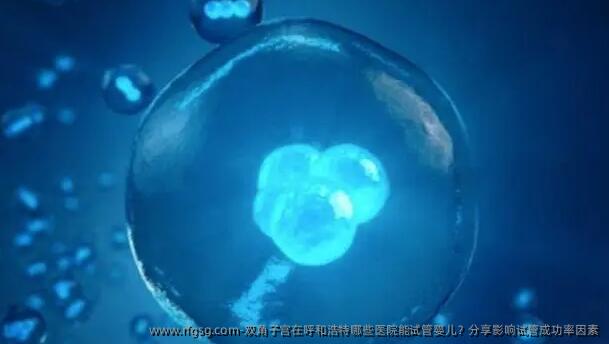 双角子宫在呼和浩特哪些医院能试管婴儿？分享影响试管成功率因素