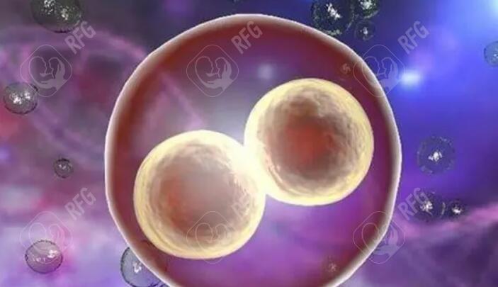 输卵管堵塞的常见原因及科学治疗方法解析