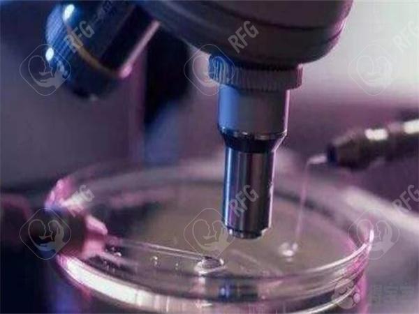 石家庄试管费用和成功率分析，哪些因素影响选择？