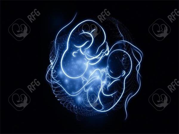 石家庄试管移植成功案例，医院排行榜与费用详解