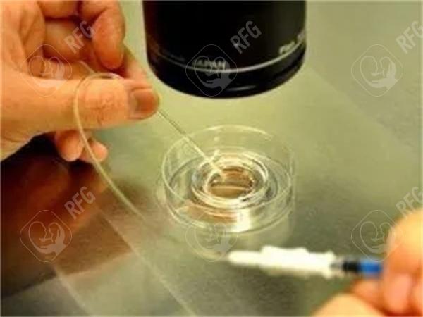 石家庄试管婴儿成功率的真实数据，医院选择指南