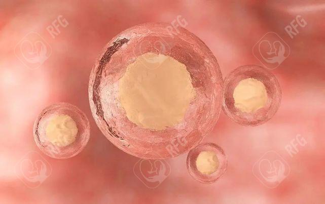 2025东莞人工授精医院排名解析：成功率、费用及技术优势对比