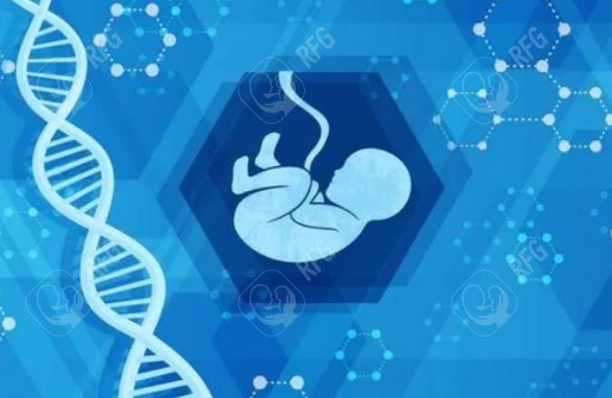 河南省妇幼保健院正规性解析：口碑评价与试管婴儿费用详解