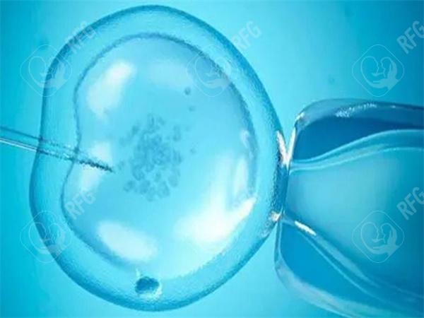 贵州试管婴儿费用揭秘：实际价格和影响因素分析